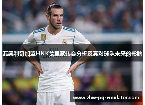 菲奥利奇加盟HNK戈里察转会分析及其对球队未来的影响